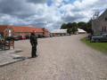 IMG_20150607_114809