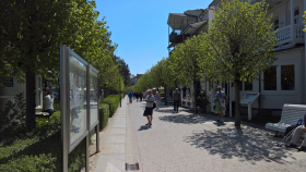 WP_20160508_12_29_38_Rich