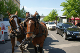 Waren 2015 2016-05-06 017