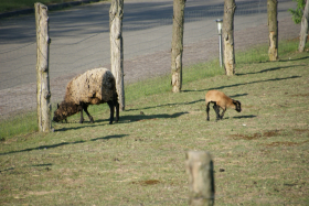 Waren 2015 2016-05-08 002