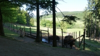 DSC00540