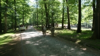 DSC00542