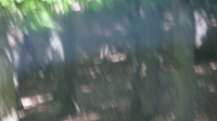 DSC00551