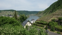 Mosel 2017-05-25 080