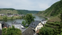 Mosel 2017-05-25 082