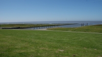 Vadehavet 2017-06-18 007