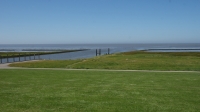 Vadehavet 2017-06-18 010