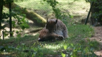 SONY DSC