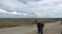 20180805 SØN 18