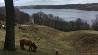 20190324 SØN 19