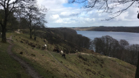 20190324 SØN 20