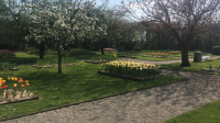 20190427 LØR 40