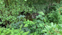 Billede-17.08.2020-18.38.19-2
