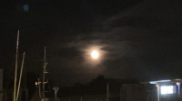 IMG_9237