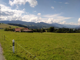 IMG_20160627_100559
