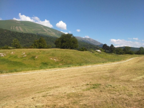 IMG_20160628_174937