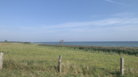 IMG_0596