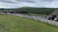 IMG_0686