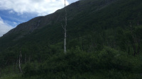 IMG_1716